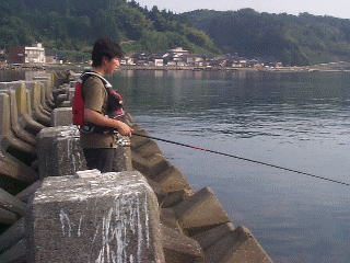 �t�O�̖ҍU�ɂ�邫���Ȃ����Ă���,�ӂ�